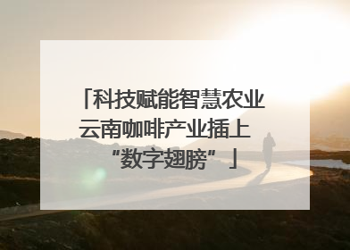 科技赋能智慧农业 云南咖啡产业插上“数字翅膀”