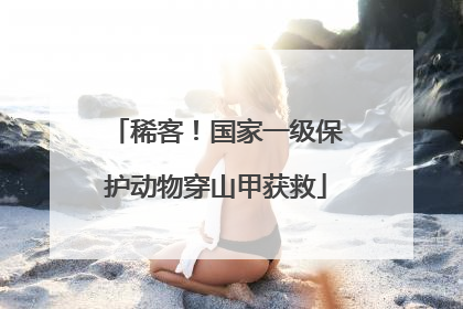 稀客！国家一级保护动物穿山甲获救