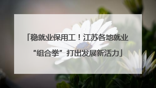 稳就业保用工！江苏各地就业“组合拳”打出发展新活力