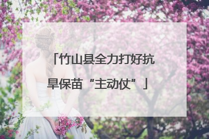 竹山县全力打好抗旱保苗“主动仗”