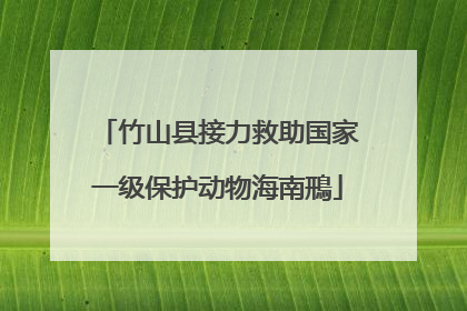 竹山县接力救助国家一级保护动物海南鳽
