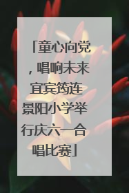童心向党，唱响未来 宜宾筠连景阳小学举行庆六一合唱比赛