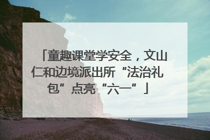 童趣课堂学安全，文山仁和边境派出所“法治礼包”点亮“六一”