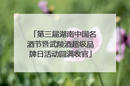 第三届湖南中国名酒节暨武陵酒超级品牌日活动圆满收官