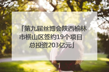 第九届丝博会陕西榆林市横山区签约19个项目 总投资203亿元