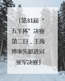 第31届“五羊杯”决赛第二日，王禹博率先挺进冠亚军决赛
