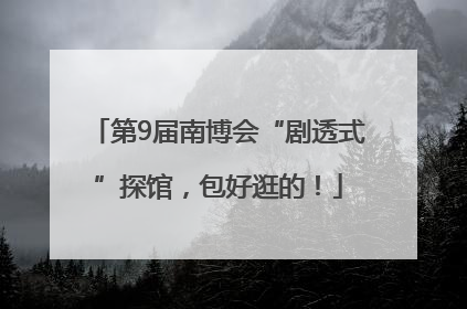 第9届南博会“剧透式”探馆，包好逛的！