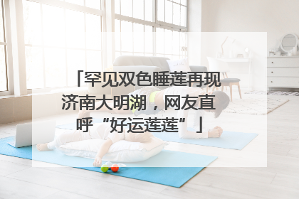 罕见双色睡莲再现济南大明湖，网友直呼“好运莲莲”