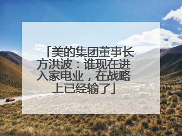 美的集团董事长方洪波：谁现在进入家电业，在战略上已经输了