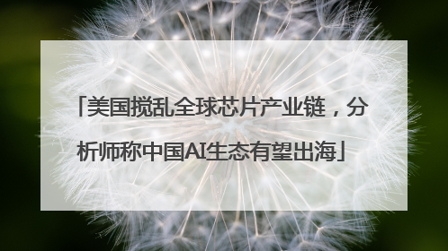 美国搅乱全球芯片产业链，分析师称中国AI生态有望出海