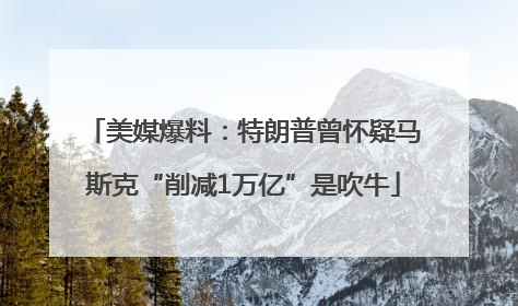 美媒爆料：特朗普曾怀疑马斯克“削减1万亿”是吹牛