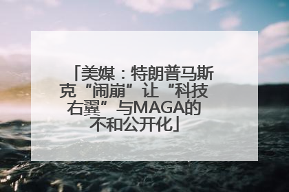 美媒：特朗普马斯克“闹崩”让“科技右翼”与MAGA的不和公开化