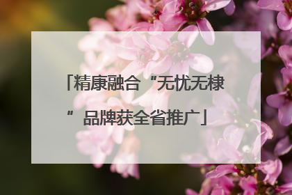 精康融合“无忧无棣”品牌获全省推广