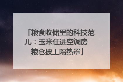 粮食收储里的科技范儿：玉米住进空调房 粮仓披上隔热罩