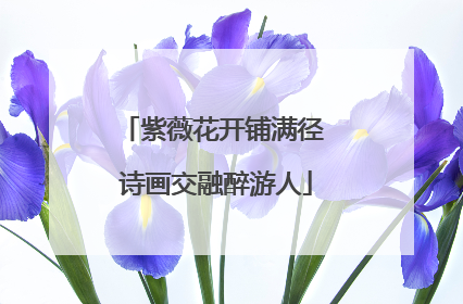 紫薇花开铺满径 诗画交融醉游人