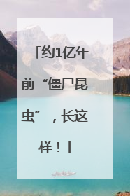 约1亿年前“僵尸昆虫”，长这样！