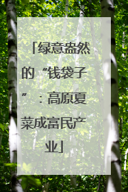 绿意盎然的“钱袋子”：高原夏菜成富民产业