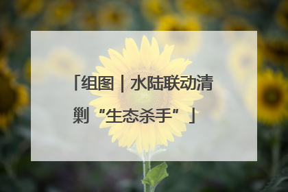 组图｜水陆联动清剿“生态杀手”