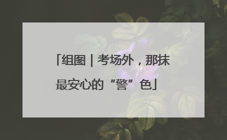 组图｜考场外，那抹最安心的“警”色