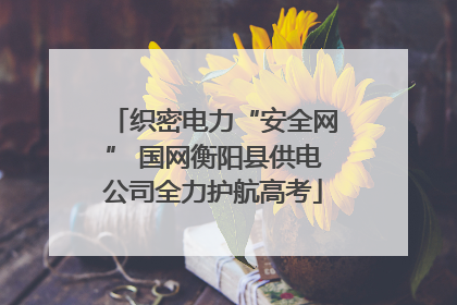 织密电力“安全网” 国网衡阳县供电公司全力护航高考