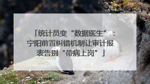 统计员变“数据医生”：宁阳前置纠错机制让审计报表告别“带病上岗”