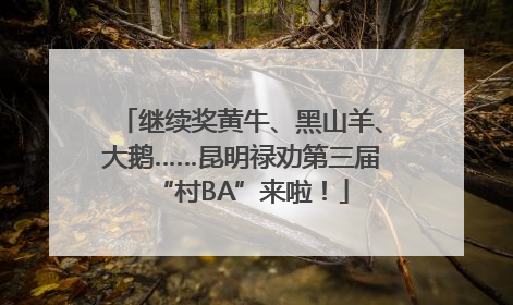 继续奖黄牛、黑山羊、大鹅……昆明禄劝第三届“村BA”来啦！