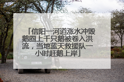 信阳一河道涨水冲毁鹅圈上千只鹅被卷入洪流，当地蓝天救援队一小时赶鹅上岸