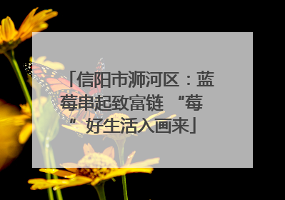 信阳市浉河区：蓝莓串起致富链 “莓”好生活入画来
