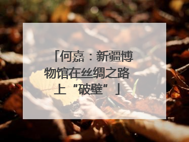 何嘉：新疆博物馆在丝绸之路上“破壁”