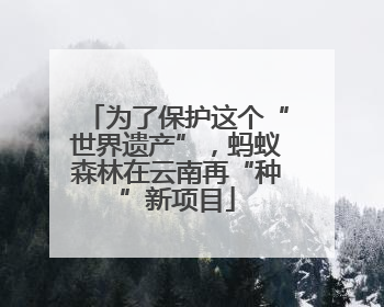 为了保护这个“世界遗产”，蚂蚁森林在云南再“种”新项目