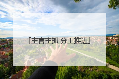 主官主抓 分工推进