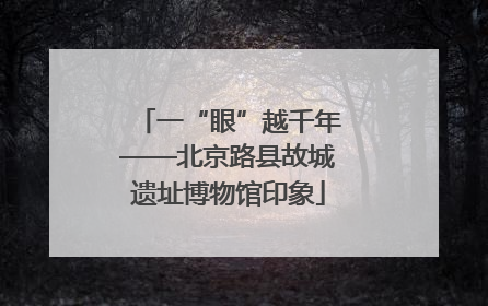 一“眼”越千年——北京路县故城遗址博物馆印象
