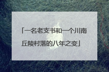 一名老支书和一个川南丘陵村落的八年之变