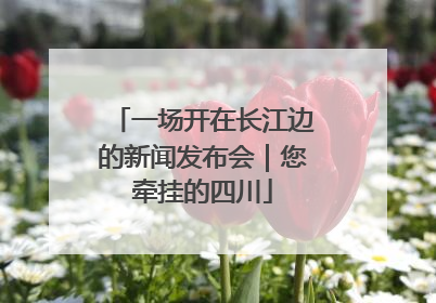 一场开在长江边的新闻发布会｜您牵挂的四川