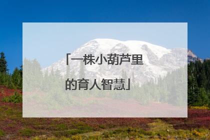 一株小葫芦里的育人智慧