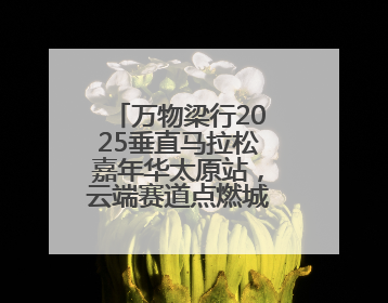 万物梁行2025垂直马拉松嘉年华太原站，云端赛道点燃城市活力基因