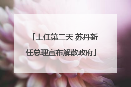 上任第二天 苏丹新任总理宣布解散政府