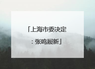 上海市委决定：张鸣履新