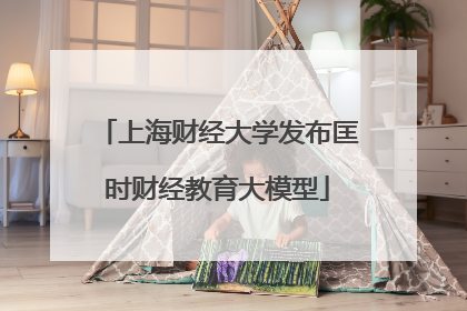 上海财经大学发布匡时财经教育大模型