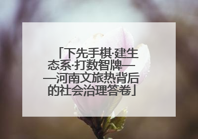 下先手棋·建生态系·打数智牌——河南文旅热背后的社会治理答卷