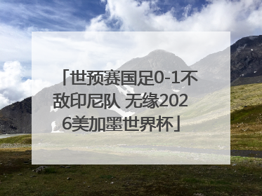 世预赛国足0-1不敌印尼队 无缘2026美加墨世界杯