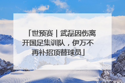 世预赛｜武磊因伤离开国足集训队，伊万不再补招顶替球员