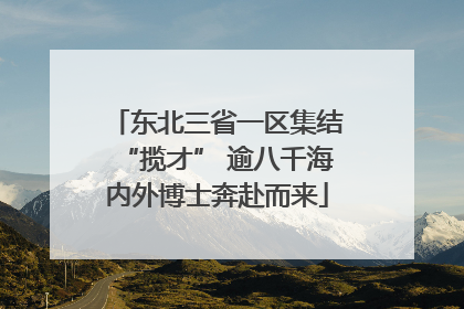 东北三省一区集结“揽才” 逾八千海内外博士奔赴而来