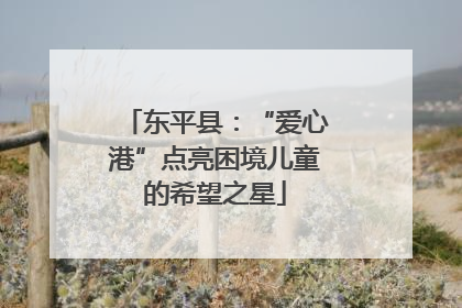东平县：“爱心港”点亮困境儿童的希望之星