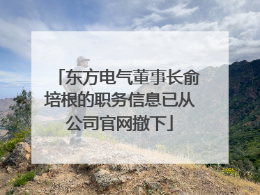 东方电气董事长俞培根的职务信息已从公司官网撤下