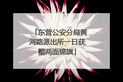 东营公安分局黄河路派出所一日获赠两面锦旗