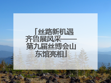 丝路新机遇 齐鲁展风采——第九届丝博会山东馆亮相