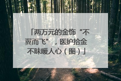 两万元的金饰“不翼而飞”，医护拾金不昧暖人心（图）