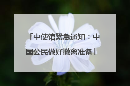 中使馆紧急通知：中国公民做好撤离准备