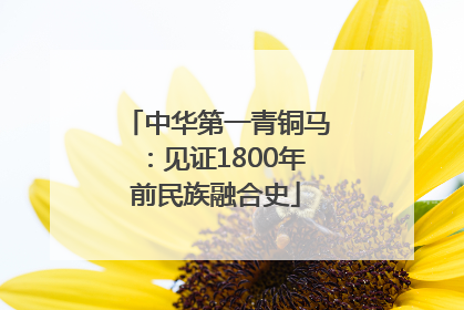 中华第一青铜马：见证1800年前民族融合史
